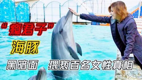 海豚人，海豚人类