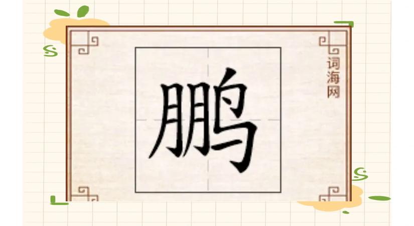 贾君鹏，贾君鹏的鹏读音是什么