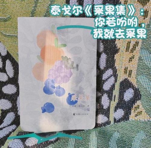 采果集，采果集主要内容概括