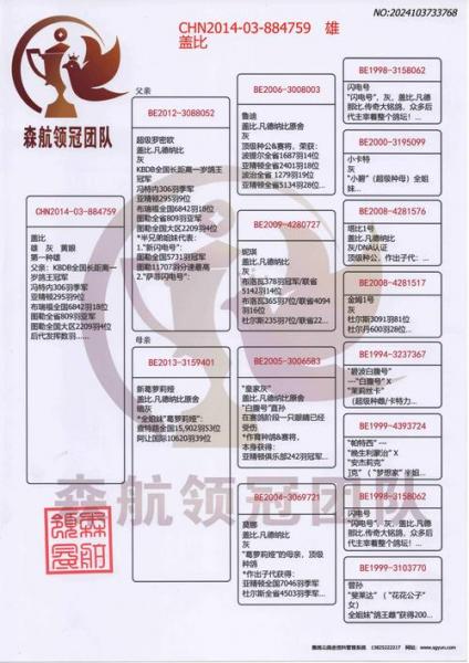 信鸽的资料，信鸽的资料介绍卡